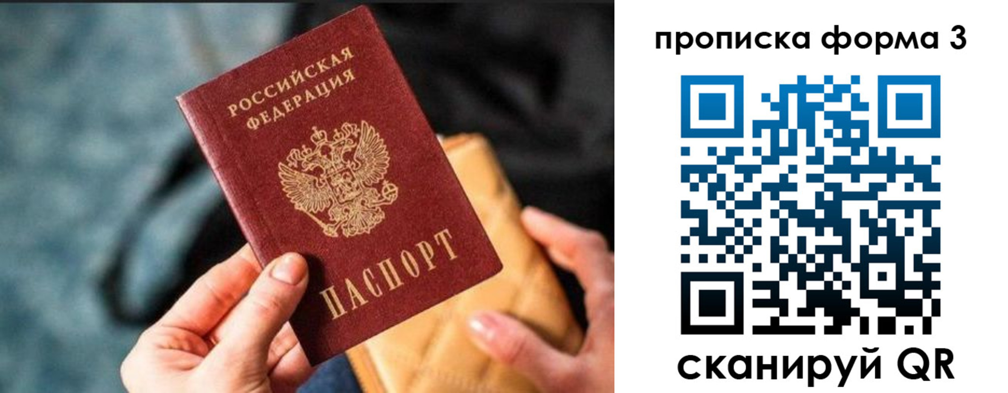 прописка гарантия в Амурской области